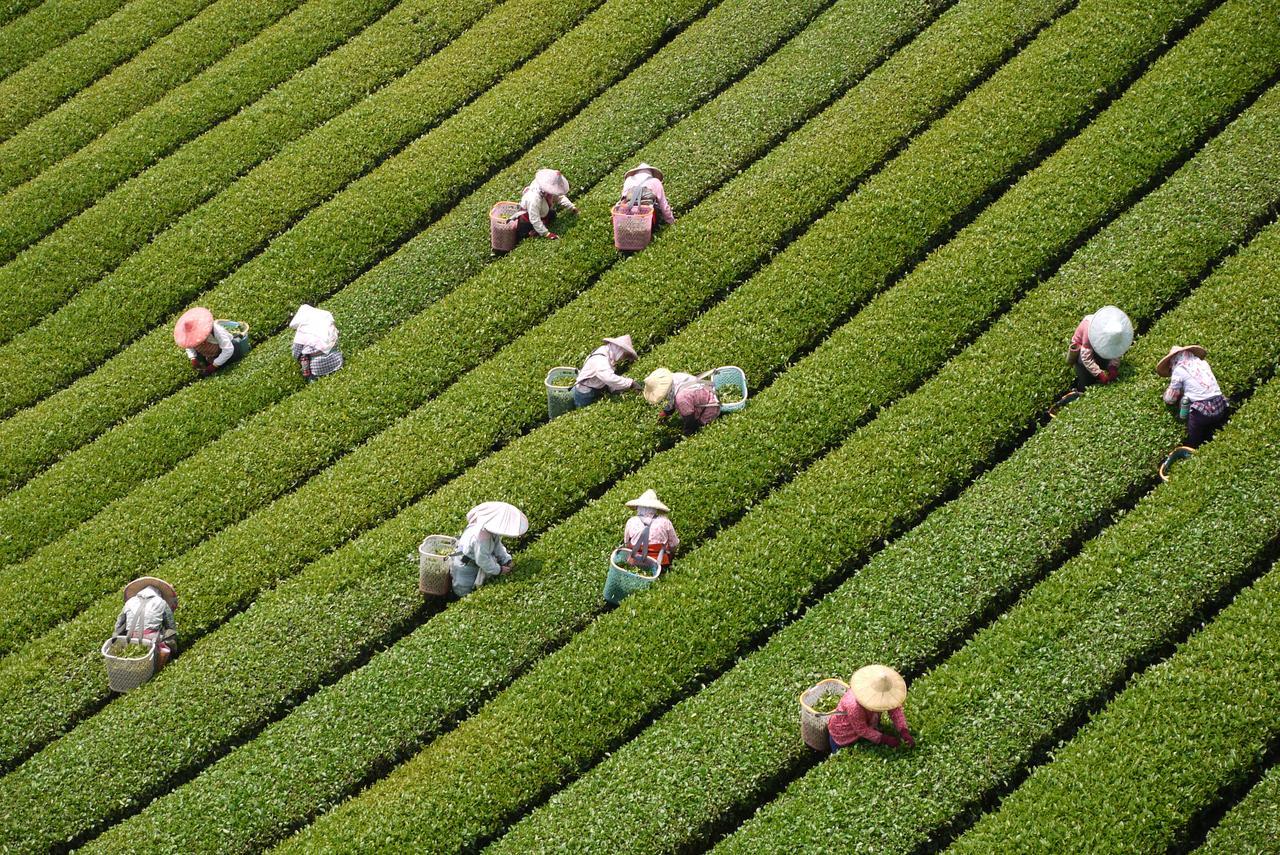 Sheng-Le Farm B&B Fanlu Bagian luar foto