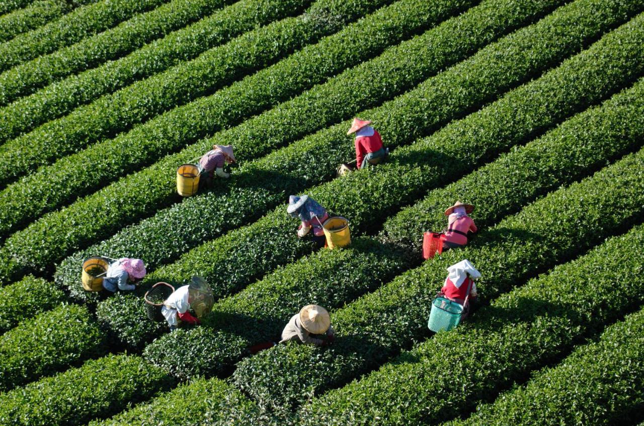 Sheng-Le Farm B&B Fanlu Bagian luar foto